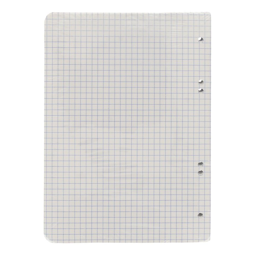 Сменный блок, A5 80 л. термоусадочная пленка 60 г/м², белизна 100 % 40 шт, клетка, 01033 белый, Светоч 80СБ26