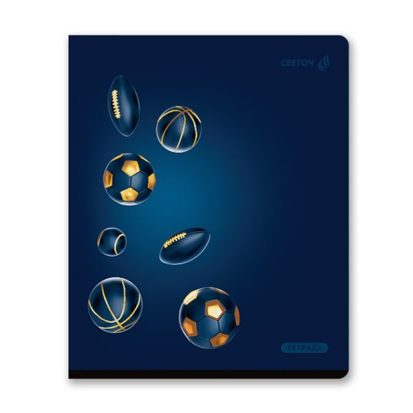 Тетрадь ученическая общая, тиснение золотой фольгой, A5 48 л. на скобе 65 г/м², белизна 100% 10 шт клетка, 01516 Радость победы, Светоч Т199