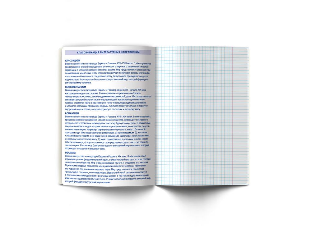 Тетрадь со справочным материалом Линия успеха, софт тач ламинация + тиснение фольгой, A5+ 48 л. на скобе 65 г/м², белизна 100%, 10 шт, линия, 000576 Литература, Светоч 48ТПСК5_126_2_2