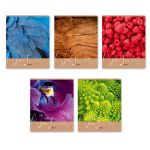 Тетрадь ученическая общая, выборочный лак, A5+ 96 л. на скобе 60 г/м², белизна 100%, 5 шт, клетка в термоусадочной пленке, 000766 Ах, лето!, Светоч 96ТЕТк-003