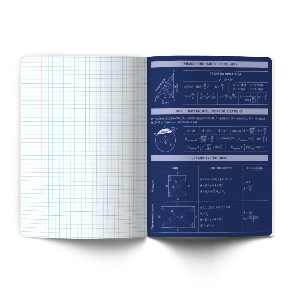 Тетрадь со справочным материалом Золотые главы, тисн.золот.фольгой, A5 48 л. на скобе 65 г/м², белизна 100% 10 шт клетка, 01851 Золотые главы Геометрия, Светоч Т286