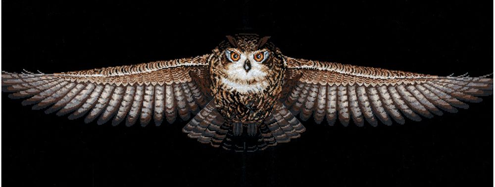 Набор для вышивания нитками Сделай своими руками, Сова(хлопок) 85х18 см