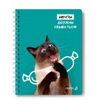 Тетрадь ученическая общая, A5 48 л. на гребне 65 г/м², белизна 100 %, 8 шт, клетка, 01171 МИКС - Мечты сбываются, Светоч Т107