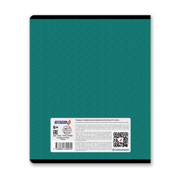 Тетрадь со справочным материалом Академия наук, A5 48 л. на скобе 60 г/м², белизна 90 %, 10 шт, клетка, 01280 Академия наук Физика, Светоч Т137