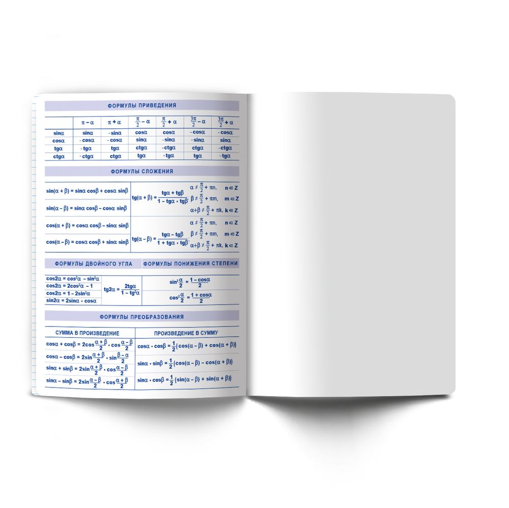 Тетрадь со справ.материал. Яркость по расписанию с запечат. пластик.обл. 320мкм, A5 48 л. на скобе 65 г/м², белизна 100% 10 шт, клетка, 01859 Яркость по расписанию Алгебра, Светоч Т288