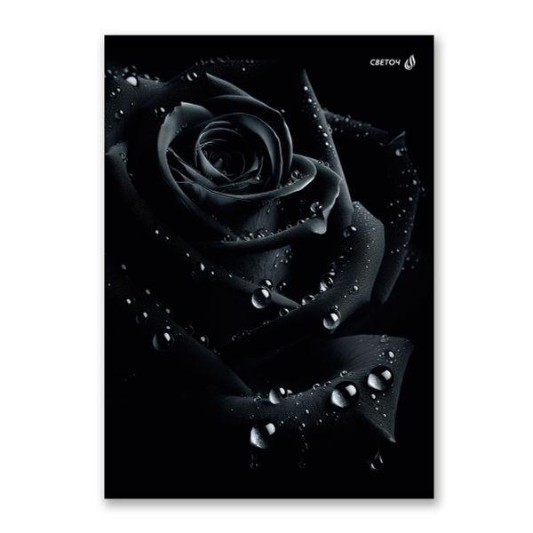 Тетрадь ученическая общая, A4 48 л. на скобе 65 г/м², белизна 100% 6 шт клетка, 01756 Магия чёрного, Светоч Т152