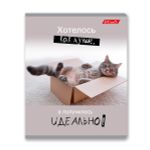 Тетрадь ученическая общая, A5+ 48 л. на скобе 65 г/м², белизна 100%, 10 шт, клетка в термоусадочной пленке, 000752 Смешные и шерстяные, Светоч 48ТЕТк-001