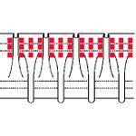 Лента (тесьма) шторная: сборка буфы (1:2) 100 мм / 50 метров, прозрачный, OZ-IS 4368 MP