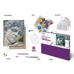 Кристальная (алмазная) мозаика Фрея ALPD-287, на подрамнике, Давид на рейве, 40х50 см