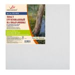 Холст на подрамнике грунтованный 50х50 см, 400 г/м², 2 шт, мелкозернистый, Vista-Artista SCL-5050