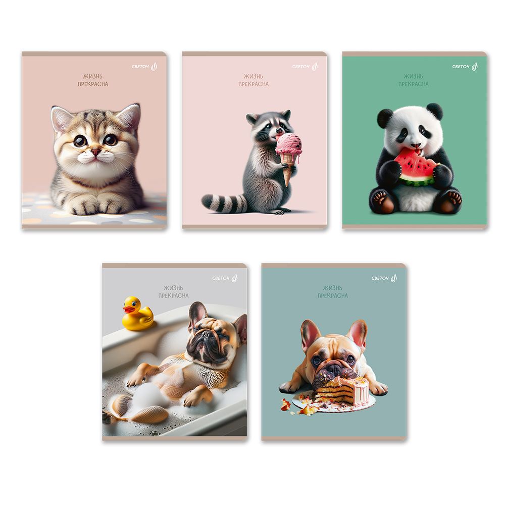 Тетрадь ученическая общая, глянцевая ламинация A5 80 л. на скобе 65 г/м², белизна 100% 5 шт клетка, 01527 Жизнь хороша!, Светоч Т203