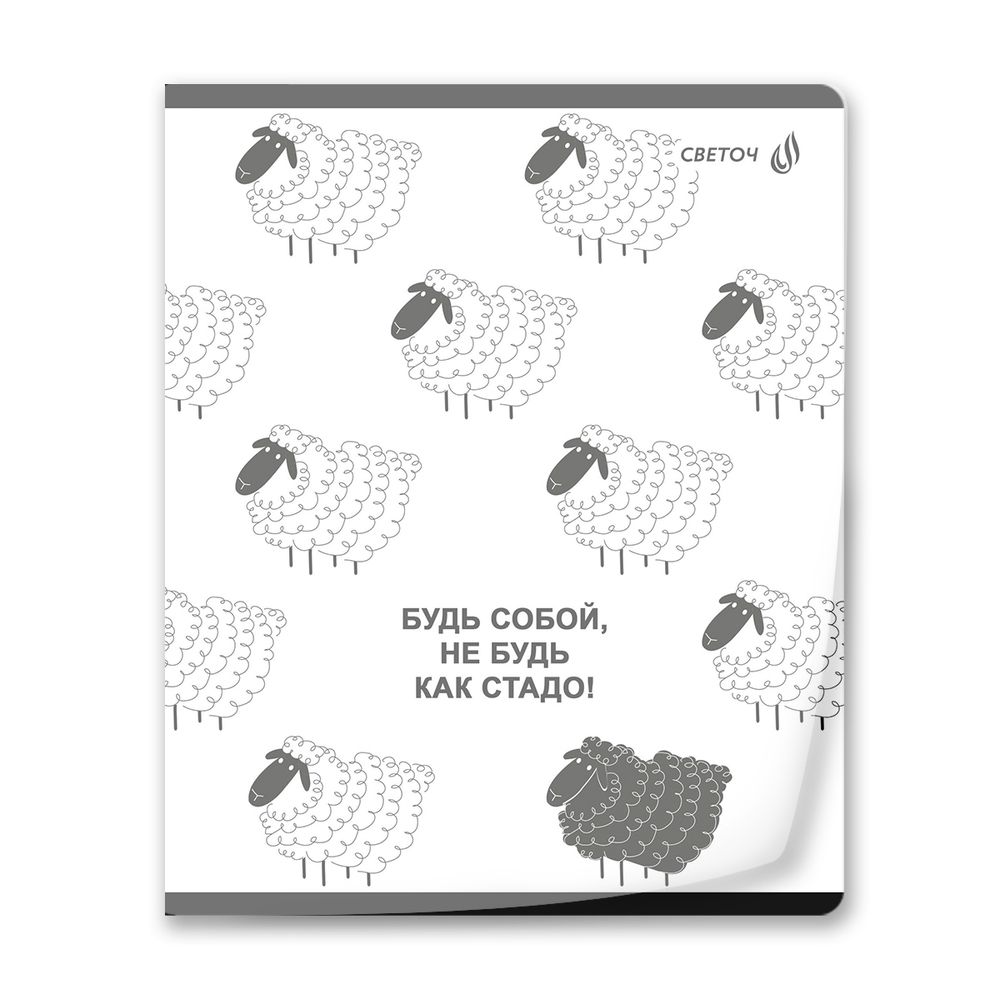 Тетрадь общая с пластиковойобложкой 180 мкр, ч/б запечат. титульн.лист, A5 60 л. на скобе 65 г/м², белизна 100 %, 10 шт, клетка, 01107 Микс - У нас на районе, Светоч Т64