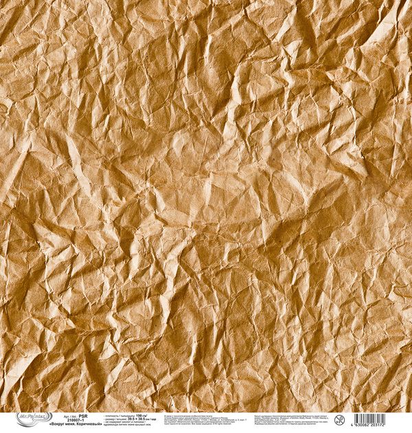 Бумага для скрапбукинга Вокруг меня. Коричневый 190 г/м², 30.5х30.5 см, 10 шт, 1, Mr.Painter PSR 210807