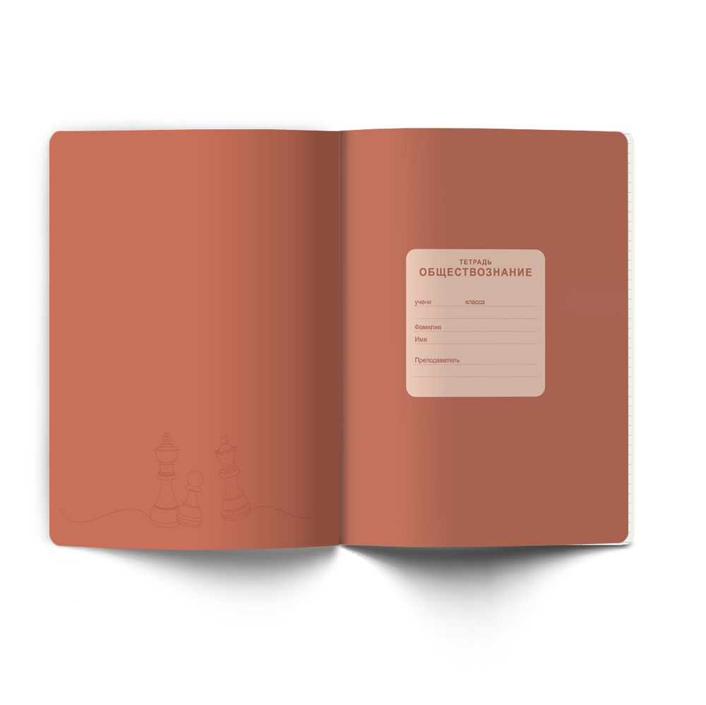 Тетрадь со справочным материалом Лёгким почерком, софт-тач ламинация, A5 48 л. на скобе 65 г/м², белизна 100% 10 шт, клетка, 01844 Лёгким почерком Обществознание, Светоч Т284