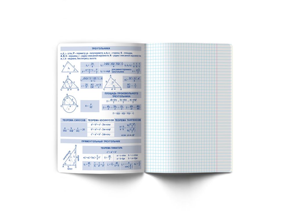 Тетрадь со справочным материалом Без фильтров, A5+ 48 л. на скобе 60 г/м², белизна 90%, 10 шт, клетка, 00843 Геометрия, Светоч 48Т1