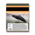 Тетрадь предметная Разные интересы A5+ 48 л. на скобе, 10 шт, клетка, Биология 48ТСК5 000149, Светоч