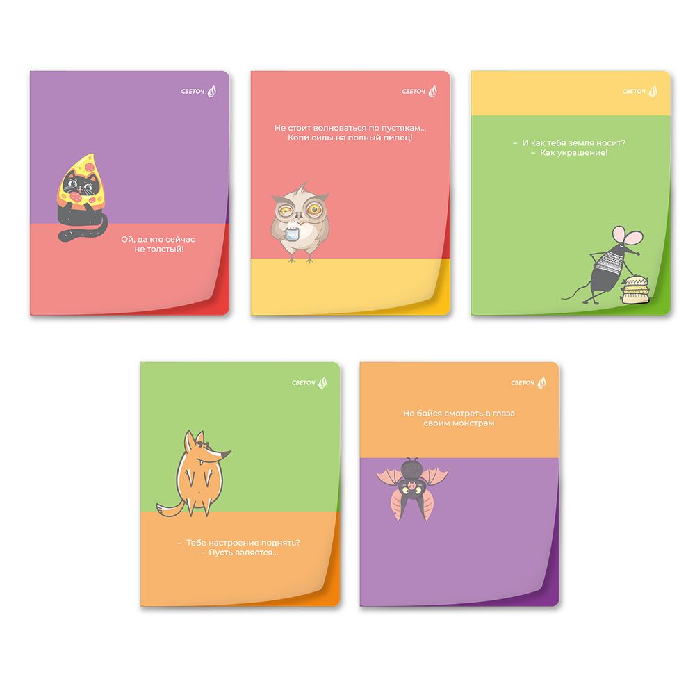 Тетрадь общая с пластик. прозр. обложкой 180 мкм, цвет.запечат.титул лист A5 48 л. на скобе 65 г/м², белизна 100% 10 шт клетка, 01500 Поднимаем настроение, Светоч Т197