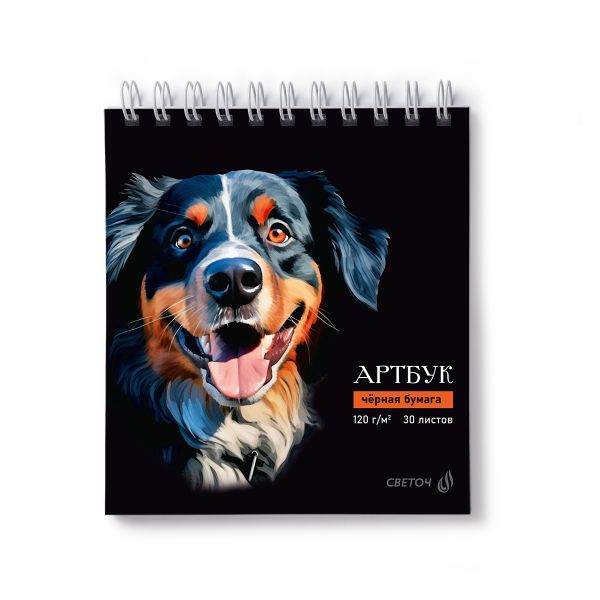 Артбук (Скетчбук), блок черный, жесткая подложка, 120 г/м², 166х175 мм, на гребне 30 л. 2 шт, Берн 01940, Светоч А306