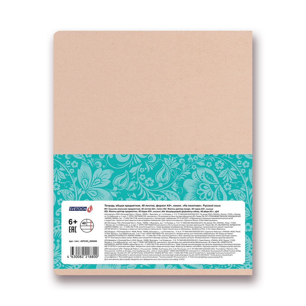 Тетрадь предметная На позитиве A5+ 40 л. на скобе, 10 шт, линия, Русский язык 40ТСК5 000098, Светоч