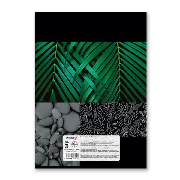 Тетрадь ученическая общая, твин лак, A4 80 л. на скобе 65 г/м², белизна 100%, 6 шт, клетка, 000456 Природный орнамент, Светоч 80ТСК4_8_2_1