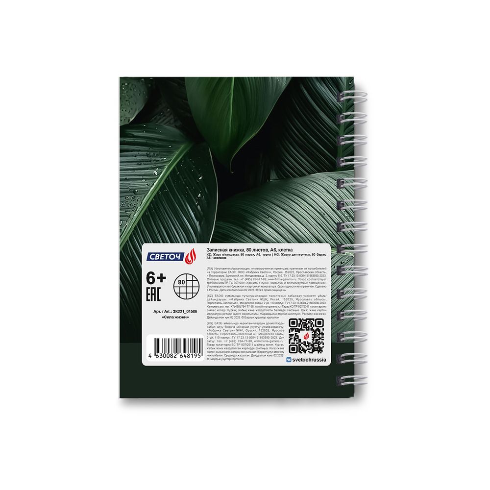 Записная книжка с твердым переплетом, глянцевая ламинация, на гребне A6 80 л. 4 шт клетка, Сила жизни 01586, ЗК221 Светоч