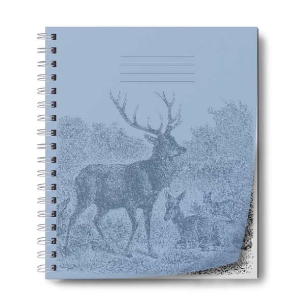 Тетрадь общая с пластик. обложкой, ч/б запечат. титульн. лист, 180 мкр, Pastel A5+ 60 л. на гребне 65 г/м², белизна 100%, 4 шт, клетка, 000666 Васильковая, Светоч ТЕТ60-001