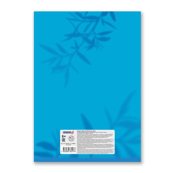 Тетрадь ученическая общая, A4 48 л. на скобе 65 г/м², белизна 100%, 6 шт, клетка, 000452 В тишине, Светоч 48ТСК4_0_2_1