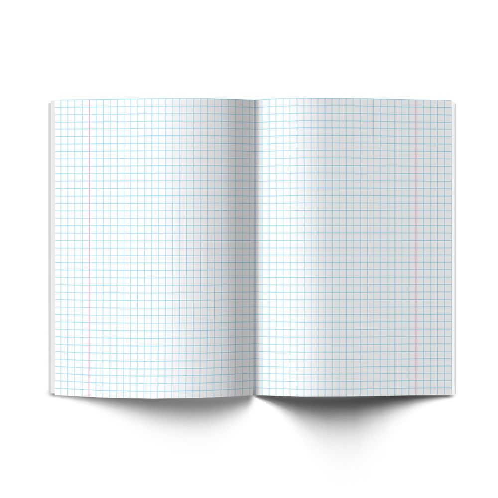 Комплект предметных тетрадей Разные интересы A5+ 48 л. 12 шт, на скобе клетка/линия, Алгебра, Английский, Биология, География, Геометрия, Физика, Химия, История, Русский, Литература, Обществознание, Информатика, Светоч