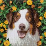 Кристальная (алмазная) мозаика Фрея ALPD-222, на подрамнике, Радостный пес, 30х30 см