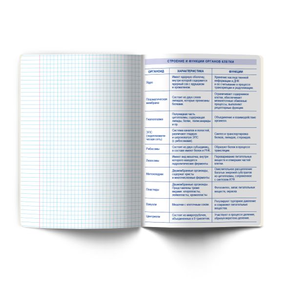 Тетрадь со справочным материалом Кристалл тайного, глянц.ламинация, A5 48 л. на скобе 65 г/м², белизна 100% 10 шт клетка, 01825 Кристалл тайного Биология, Светоч Т282