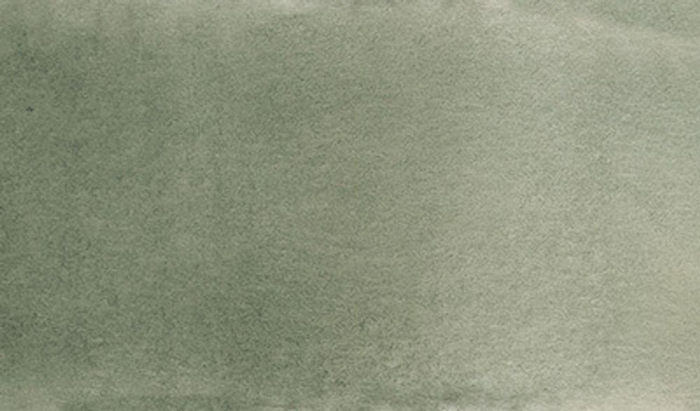 Краска акварель художественная, кювета 2.5 мл, 638 серо-зеленая, Vista-Artista VAW