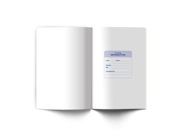 Тетрадь со справочным материалом Яркие краски, матовая ламинация + выбор. лак, A5+ 48 л. на скобе 65 г/м², белизна 100%, 10 шт, линия, 00869 Литература, Светоч 48Т8