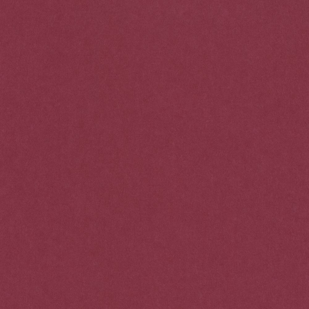 Бумага цветная 120 г/м², A4 21х29.7 см, 50 шт, 14 красный винный/wine red, Vista-Artista