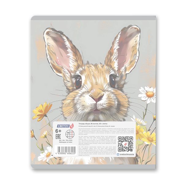 Тетрадь общая пластиковой обложкой 180 мкр. с трафарет.печатью, цвет.запечат.титул лист A5+ 96 л. на скобе 65 г/м², белизна 100 %, 5 шт, клетка, 01105 Наблюдаю за тобой, Светоч Т62