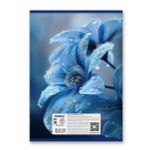 Тетрадь ученическая общая, выборочный лак, A4 80 л. на скобе 65 г/м², белизна 100% 6 шт клетка, 01763 Сквозь синий туман, Светоч Т155