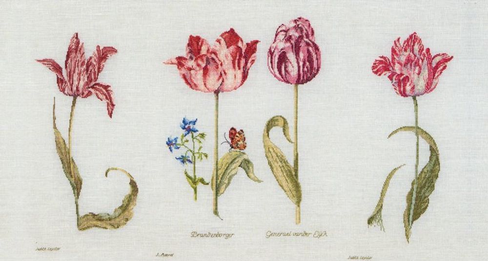 Thea Gouverneur, Тюльпаны Джейкоба Маррель и Джудит Лейстер, 16-й век, канва Aida 18 ct, 72х42 см