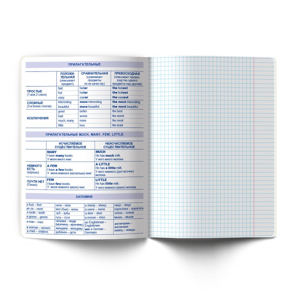 Тетрадь со справ.материал. Яркость по расписанию с запечат. пластик.обл. 320мкм, A5 48 л. на скобе 65 г/м², белизна 100% 10 шт, клетка, 01860 Яркость по расписанию Английский язык, Светоч Т288