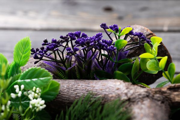 Миниатюра кукольная: Веточки полиэтилен 24 шт, 15, Blumentag GPT-06