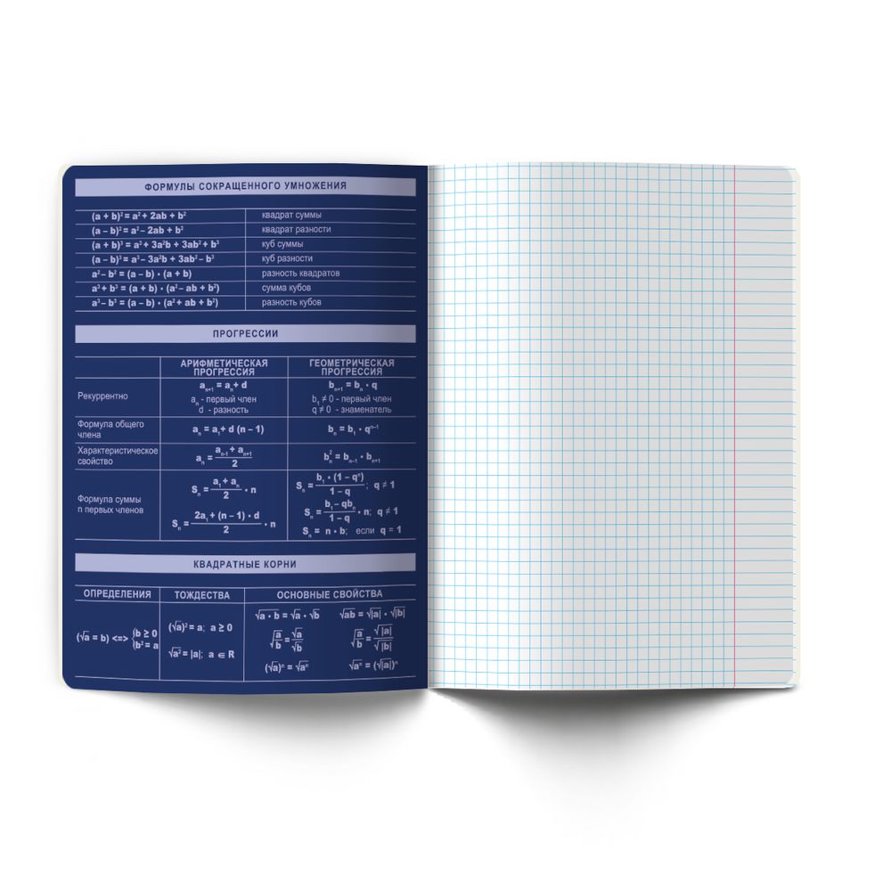 Тетрадь со справочным материалом Золотые главы, тисн.золот.фольгой, A5 48 л. на скобе 65 г/м², белизна 100% 10 шт клетка, 01847 Золотые главы Алгебра, Светоч Т286