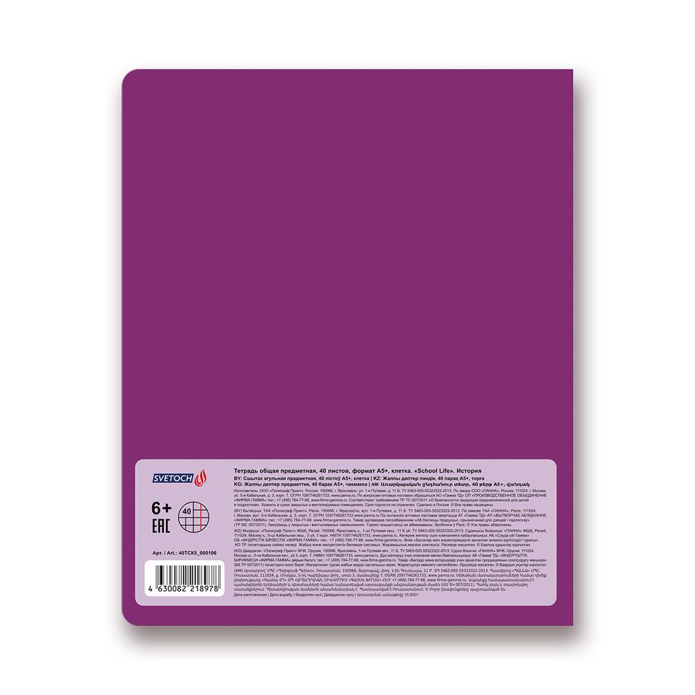 Тетрадь предметная School Life A5+ 40 л. на скобе, 10 шт, клетка, История 40ТСК5 000106, Светоч