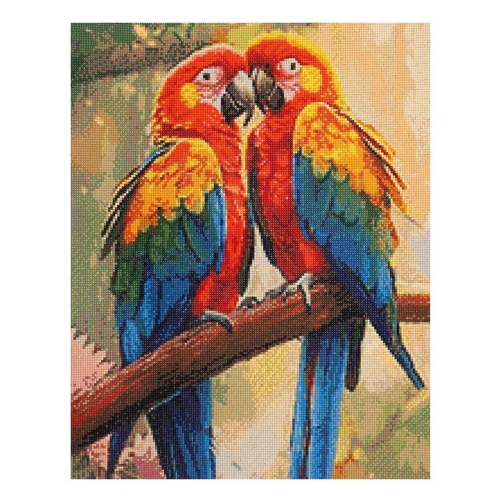 Cristyle, Яркие попугаи Ара, 40х50 см