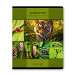 Комплект тетрадей со справоч.материал. "Академия наук", A5 48 л. 12 шт, на скобе 60 г/м², белизна 90 %, 1 шт, клетка/линия, 01334 12 предметов, Светоч, Т147