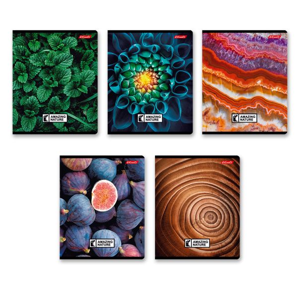 Тетрадь ученическая общая, твин лак, A5+ 60 л. на скобе 65 г/м², белизна 100%, 10 шт, клетка в термоусадочной пленке, 000477 Биосфера, Светоч 60ТСК5_8_2_1