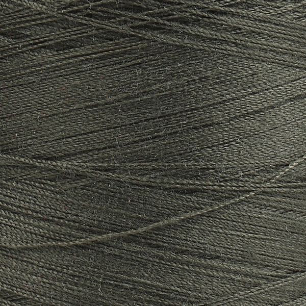 Нитки армированные ПНК им.Кирова 45ЛЛ, 2500 м / 1 кат., 5810 защитный