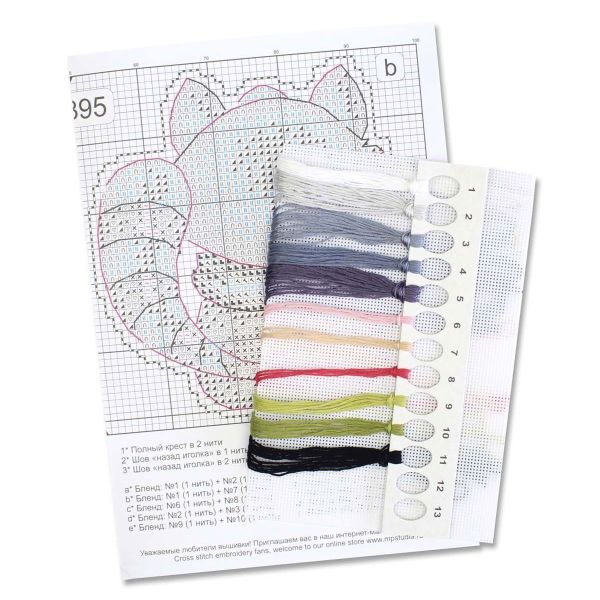 Набор для вышивания нитками МП Студия, на пластиковой канве Учёный енот 9х9см