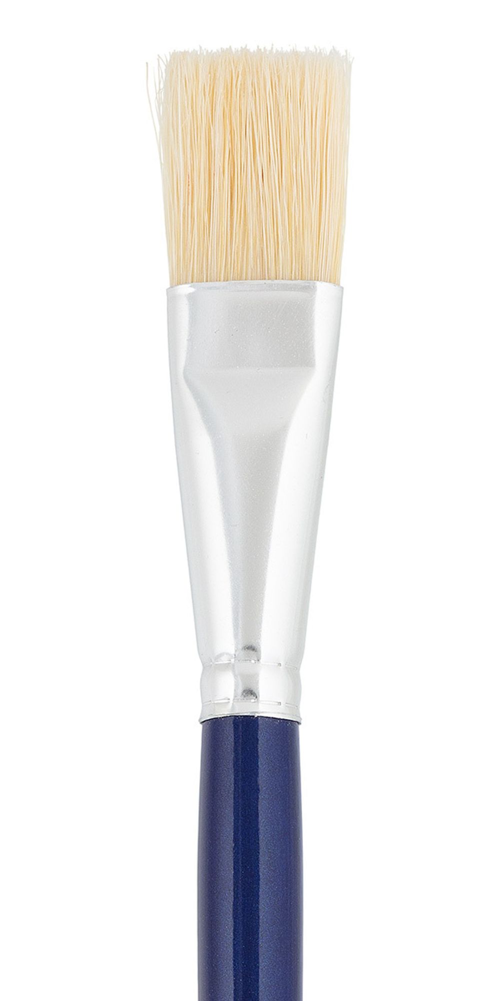 Кисть щетина №10 плоская, 5 шт, длинная ручка, 10, Vista-Artista 30012-10