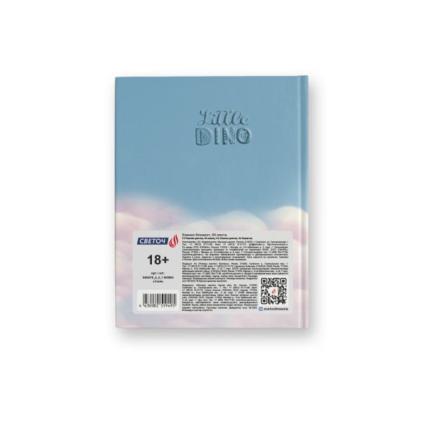 Бизнес-блокнот, глянцевая ламинация, A6 64 л. 24 шт, клетка, Соня 000906, Светоч 64ББТ6_4_5_1