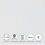 Холст грунтованный на подрамнике 70х90 см, 390 г/м², 2 шт, Залесский среднезернистый, Vista-Artista PLMG-7090