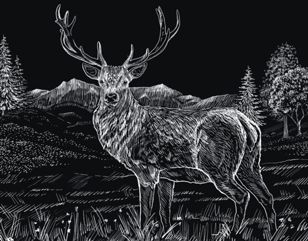 Набор для творчества Гравюра 20х25.5 см, №39 Олень (серебро), Hobbius SGHK