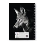 Тетрадь общая с твердой обложкой, матовая ламинация A4 80 л. на гребне 65 г/м², белизна 100% 2 шт клетка, 01572 Волк, Светоч Т217